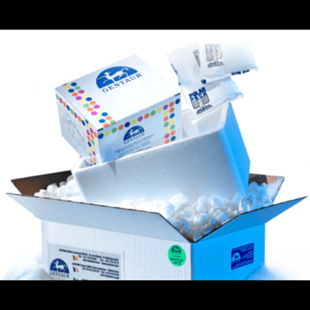  ELISA Cardiolipin IgG Test System - 480 tests
