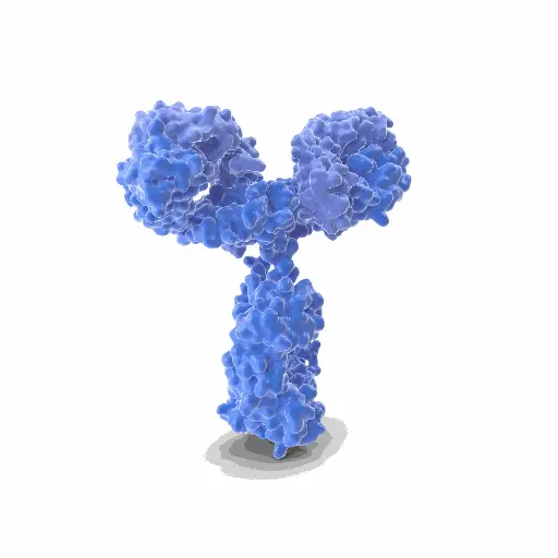 [GEN-ANTI-03] Gentaur Anti-FITC HRP Conjugated Antibody